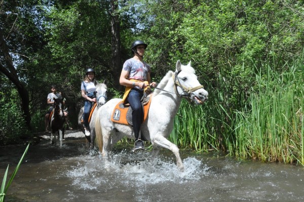 Antalya Pferde Safari