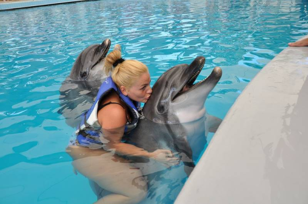 Schwimmen mit Delfinen in Manavgat (Side)