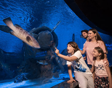 Antalya Aquarium Tour ab Kemer