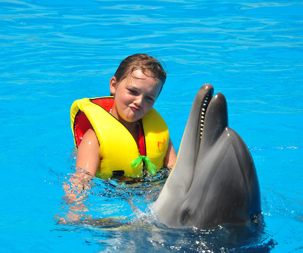 Alanya Schwimmen mit Delfinen