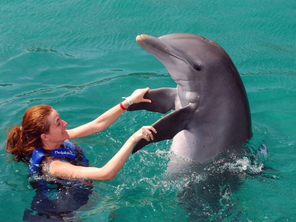 Schwimmen mit Delfinen von Belek